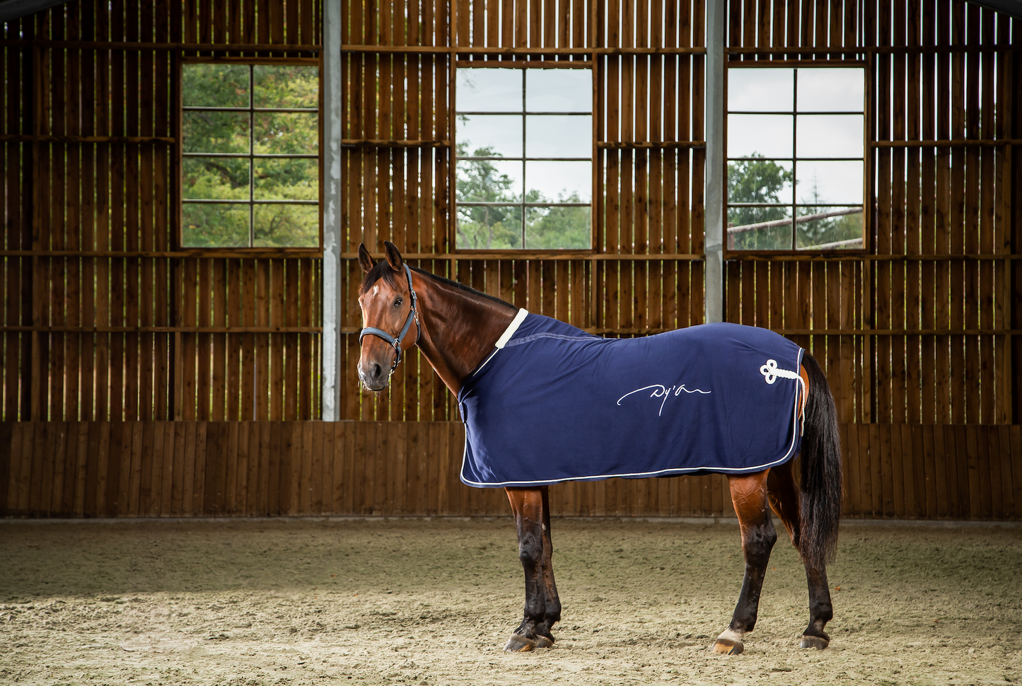 Dy'on Fleece Rug - Little Equine Co.