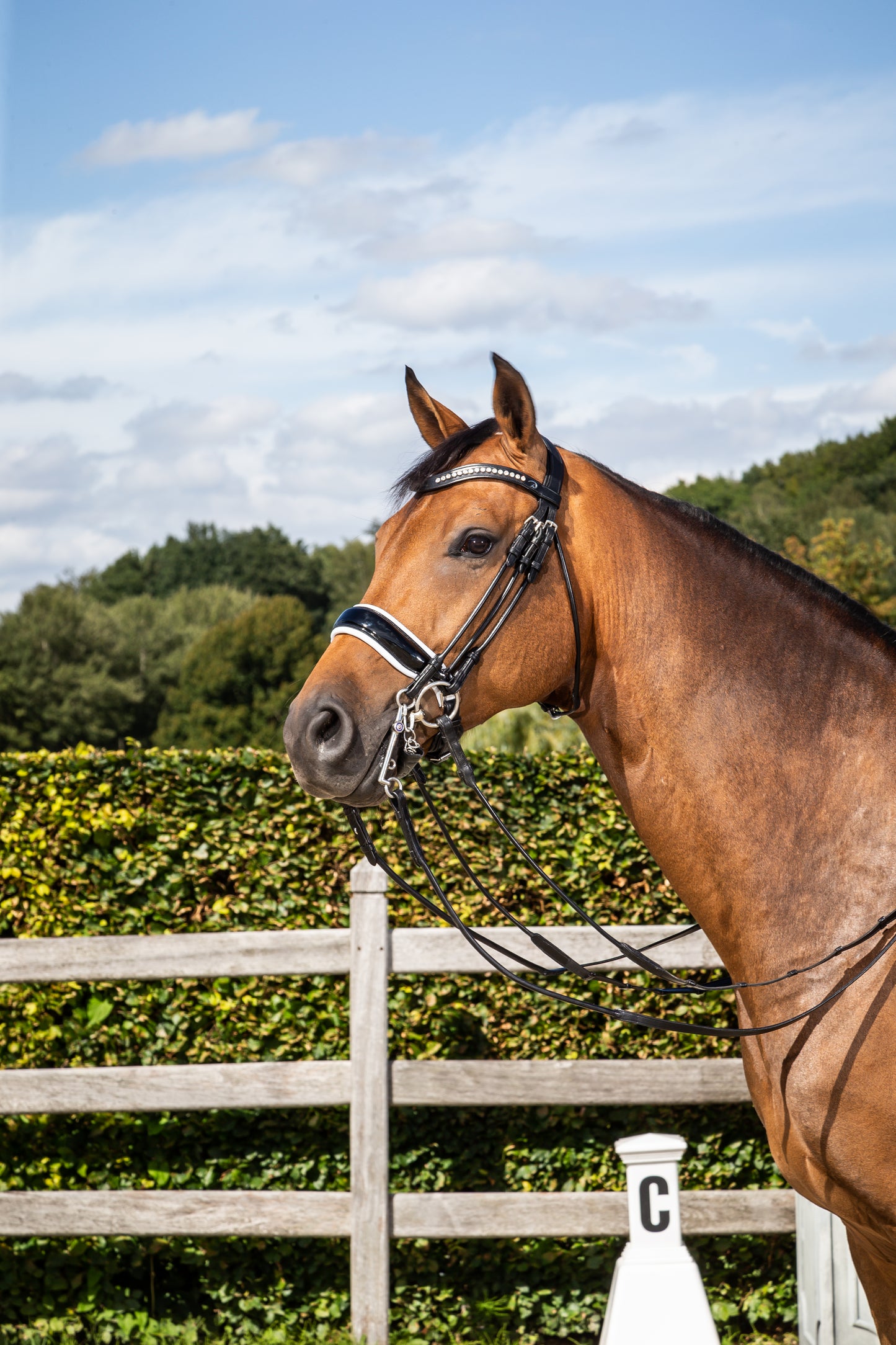 Dy'on Round Leather Collection- Patent Large Crank with White Padding Double Bridle - Little Equine Co.