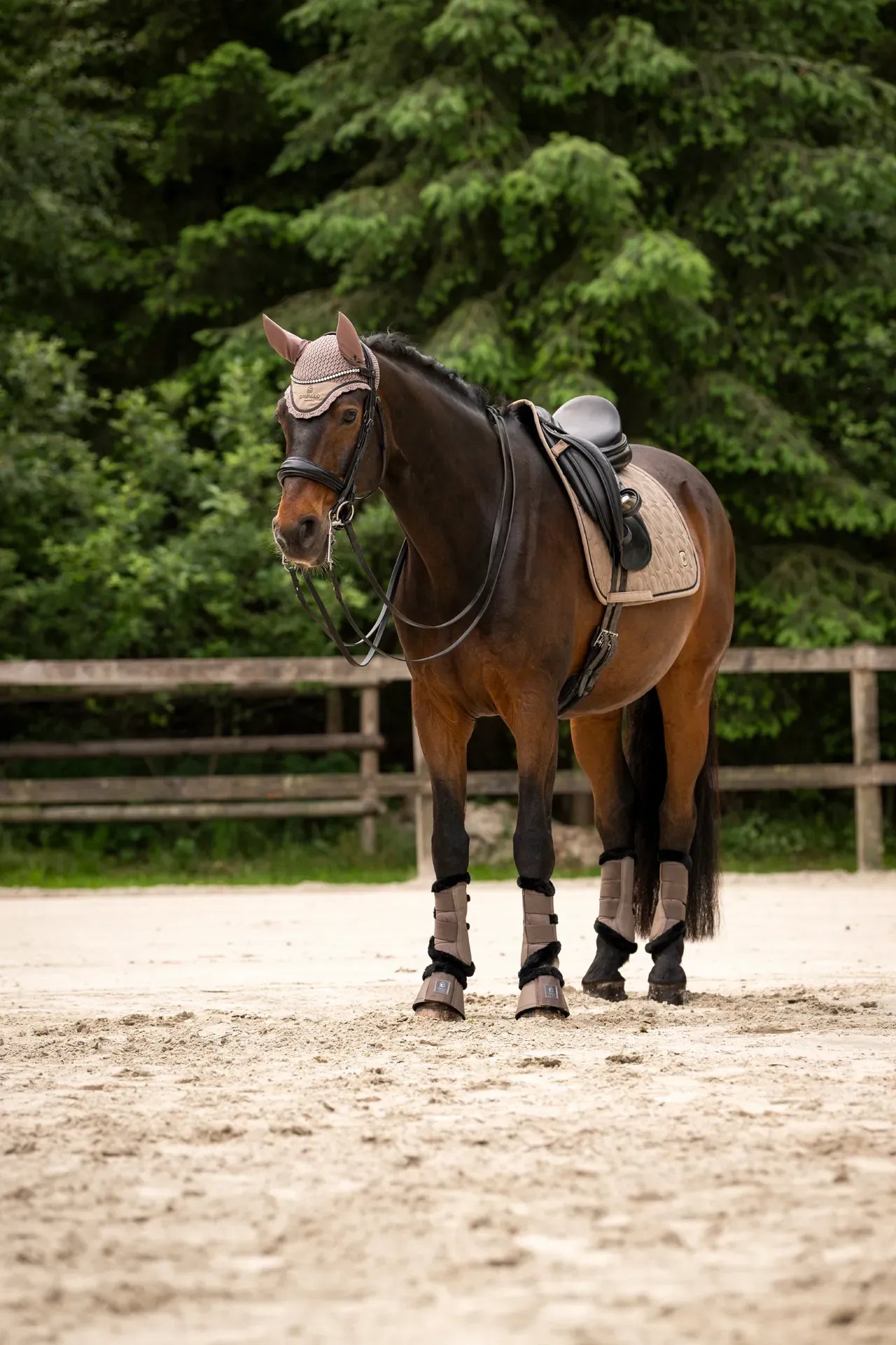 Cavallo CAVALPOLLY Mocha Latte Saddle Pad - Dressage - Little Equine Co.