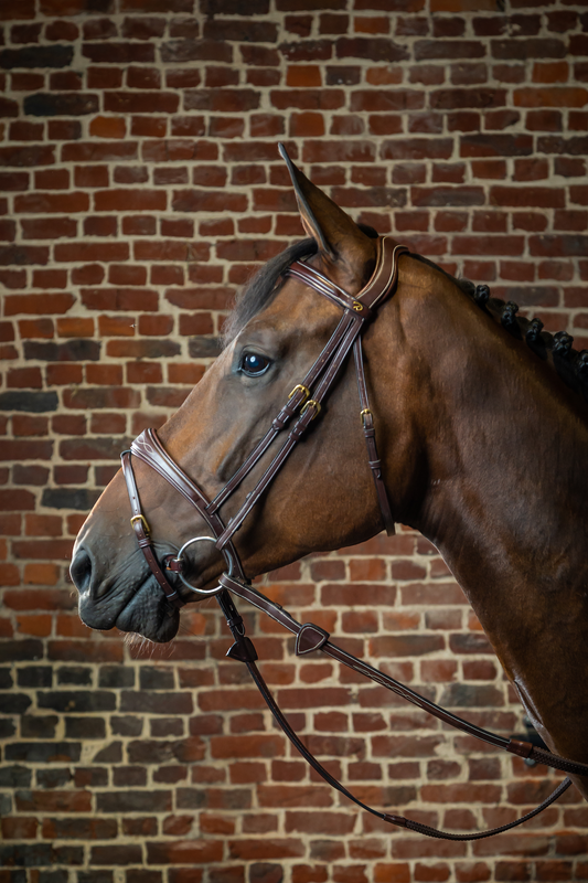 Dy'on D Collection - Anatomic Flash Noseband Brown Bridle - Little Equine Co.