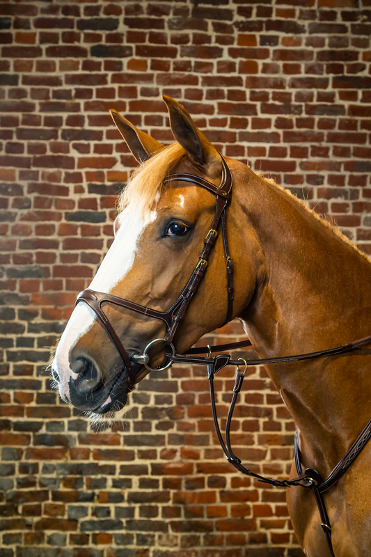 Dy'on X-Fit Bridle Brown Full D Collection - Little Equine Co.