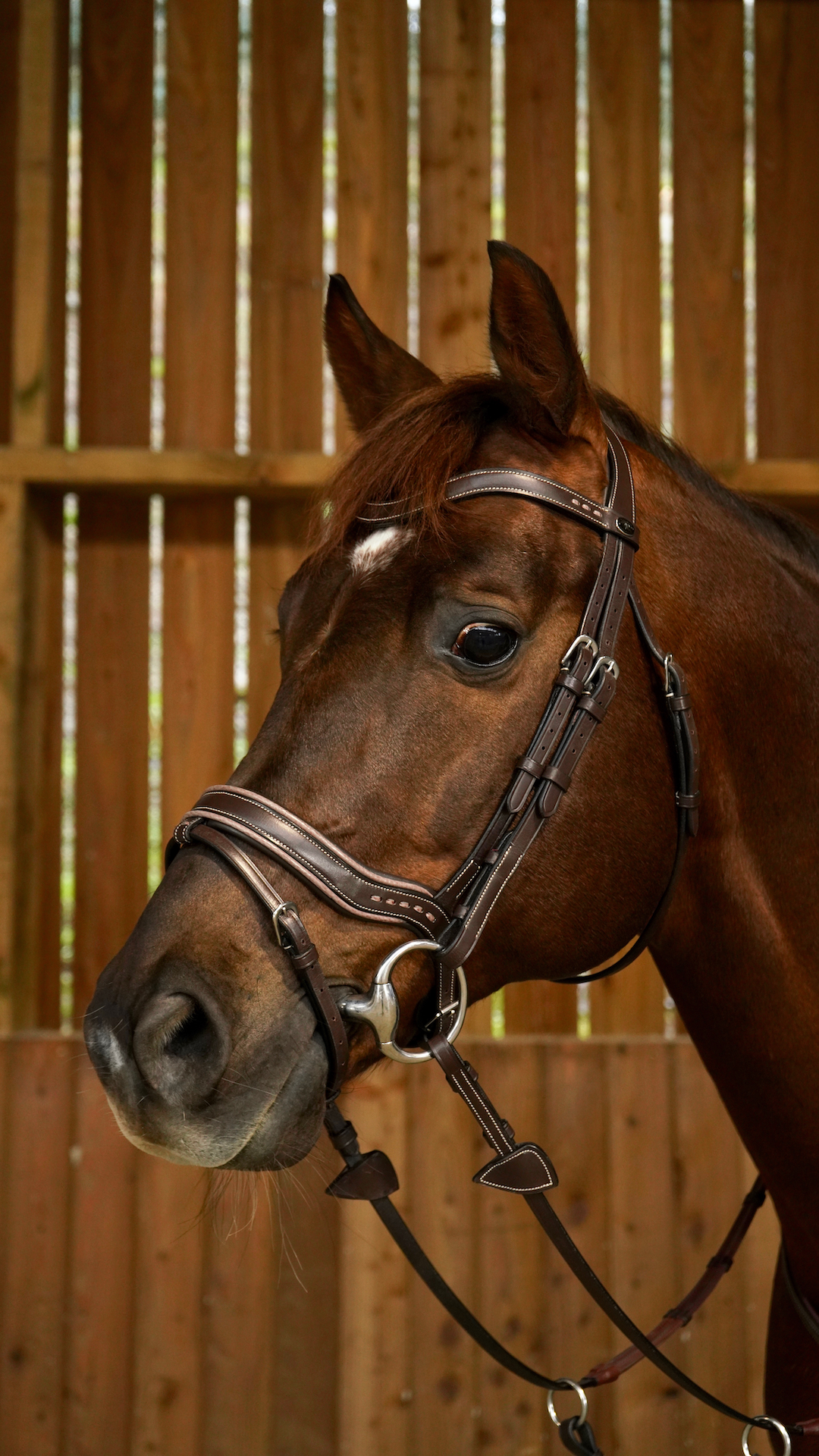 Working by Dy'on - Working Fit Bridle - Brown Full - Little Equine Co.