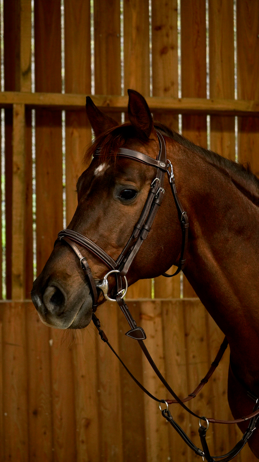 Working by Dy'on - Flash Noseband Bridle with Snap Hooks Brown Full - Little Equine Co.