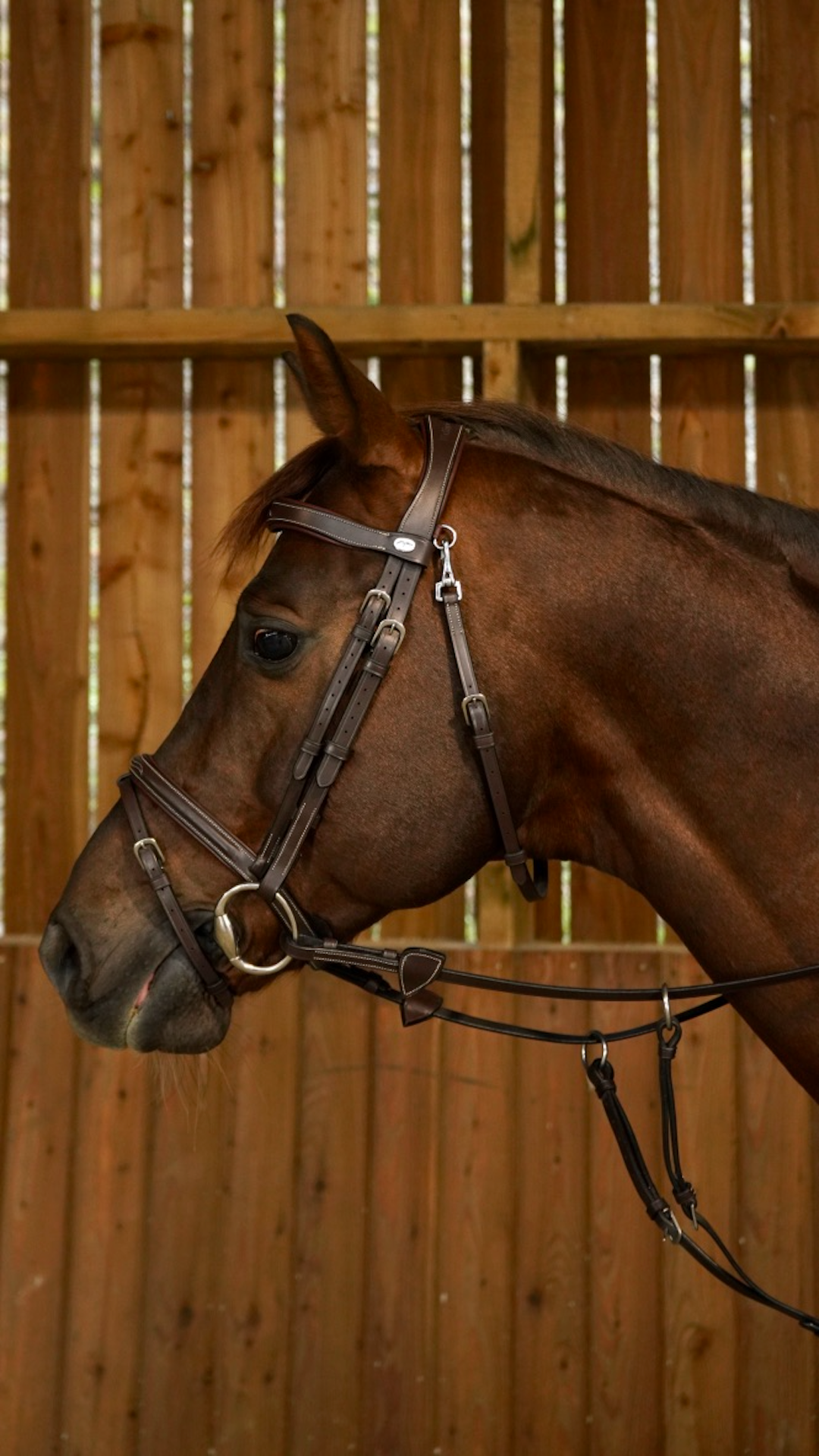 Working by Dy'on - Flash Noseband Bridle with Snap Hooks Brown Full - Little Equine Co.