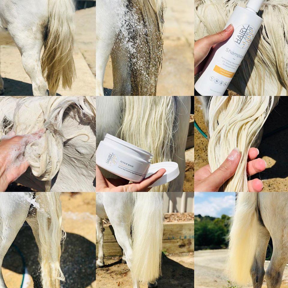Hairy Pony Hair Repair - Little Equine Co.